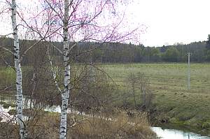 �����������. ������ ������