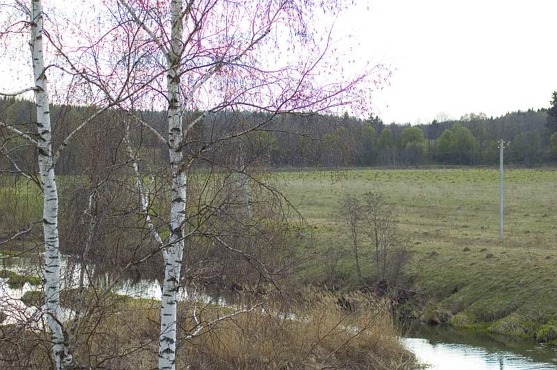 ������ ������