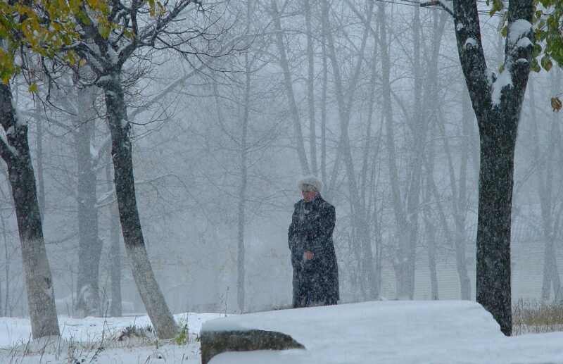 ������ ����. ����������