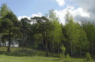 �����������. ������. ����������