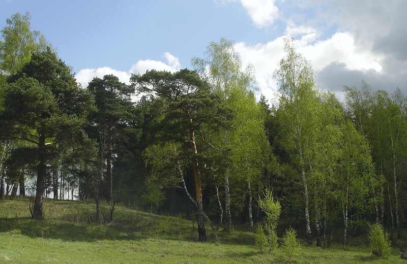 ������. ����������