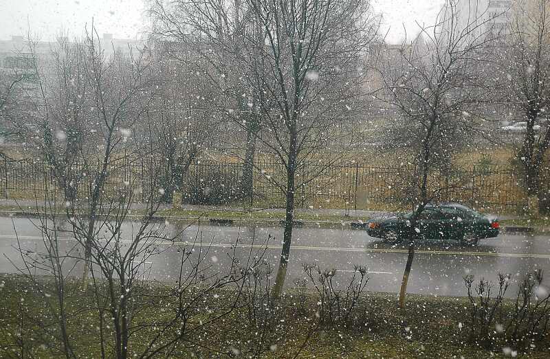 ������ ���� 2. ����������