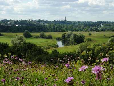 �����������. ���� 2. ����������