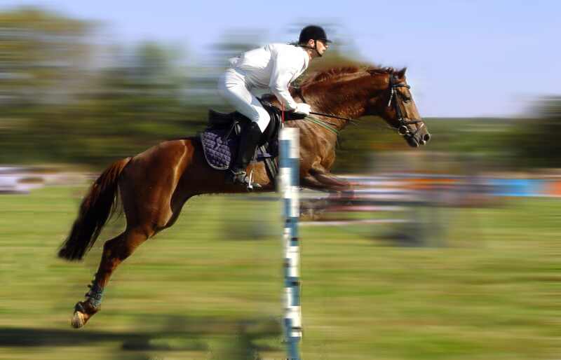 ������. ����������