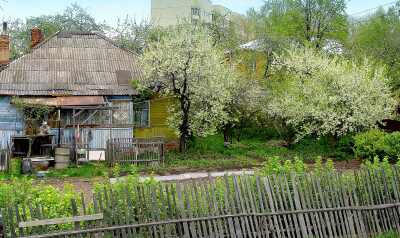 �����������. �����. ����������