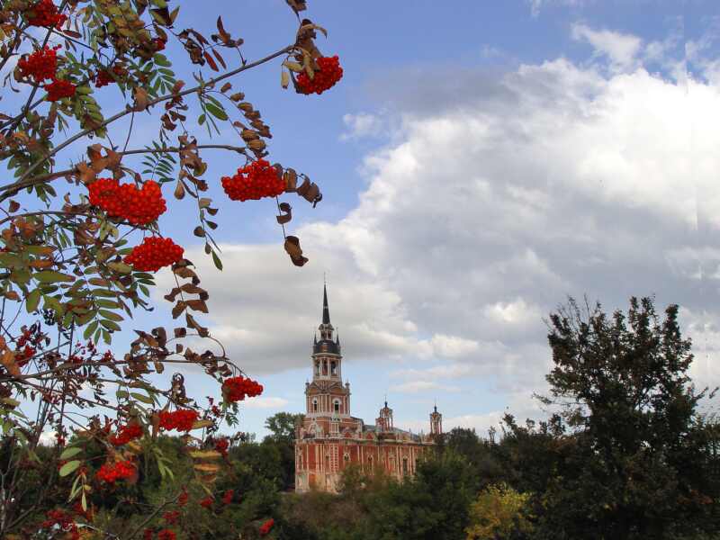 �����. ����������