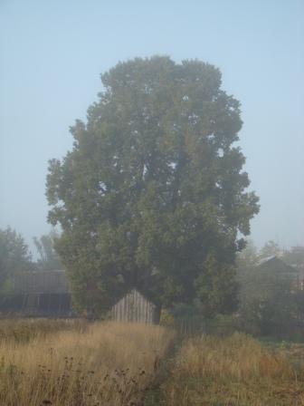 ������������ ����. ����� �.�������