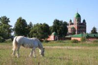 �����������. ������. �.���������