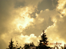 �����������. ����� �����