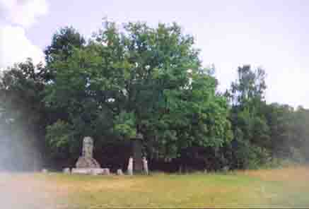 �����������. ���