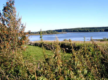 ��������� ���� 2005 �.