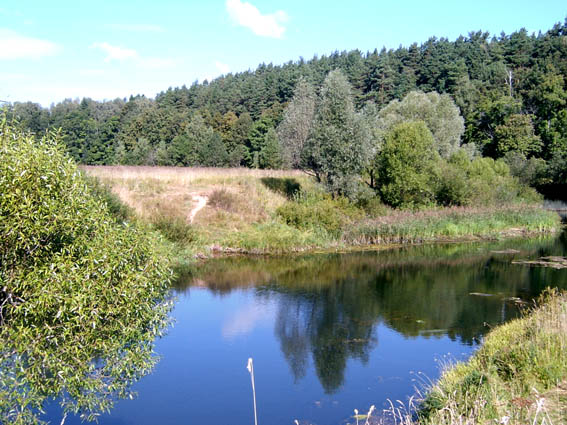 ������ ���� �� ������.