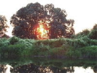 �����������. ����� � �������