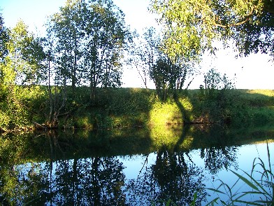 �.������