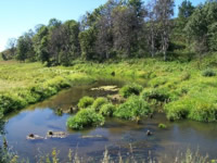 �����������. �.������