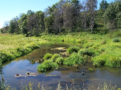 �.������