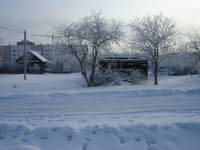 �����������. ���������