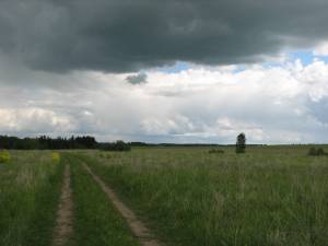 �����������. ���-�� � �.������