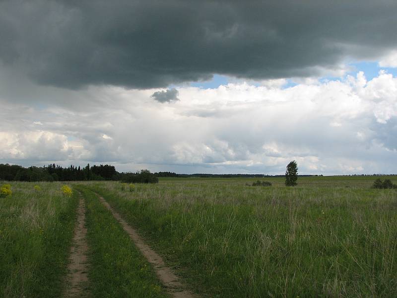 ���-�� � �.������